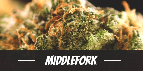 Middlefork