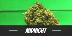 Midnight