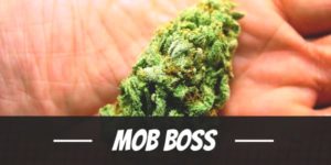 Mob Boss