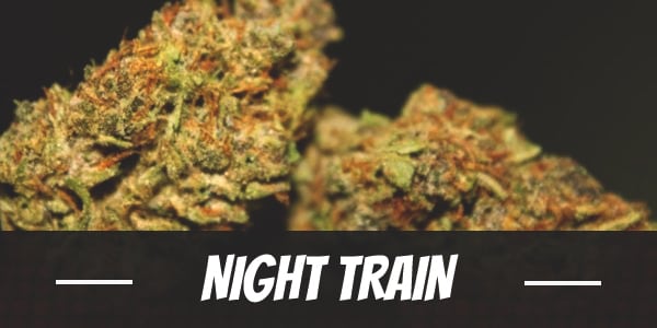 Night Train