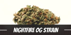 NightFire OG Strain