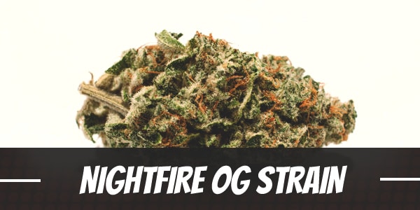 NightFire OG Strain