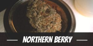 Northern Berry