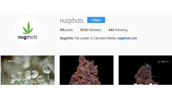 Nugshot