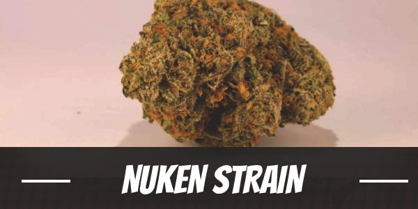 Nuken Strain