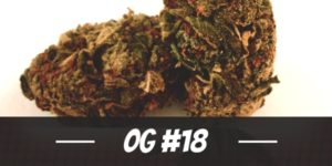 OG #18
