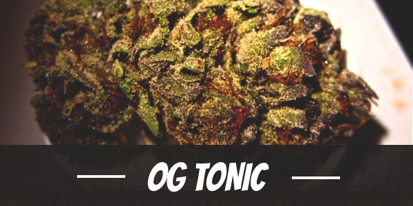 OG Tonic