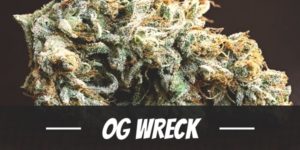OG Wreck