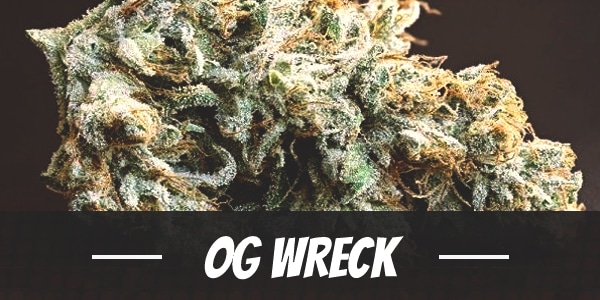 OG Wreck