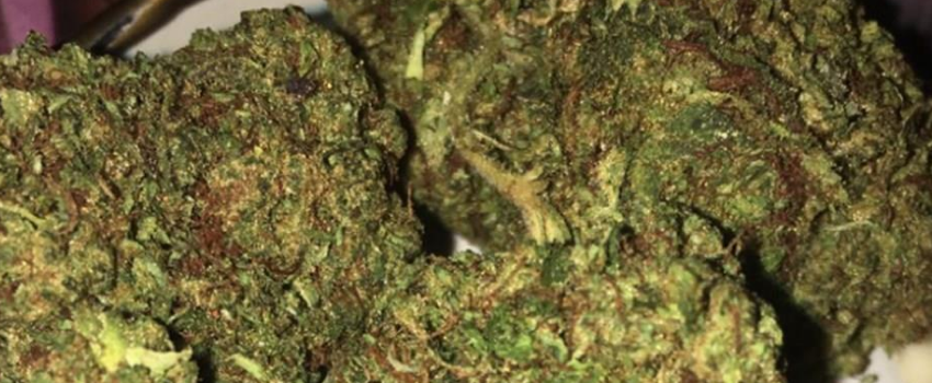 Obama Kush Adverse Reaction