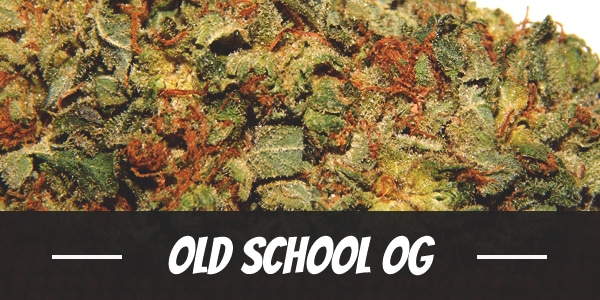 Old School OG