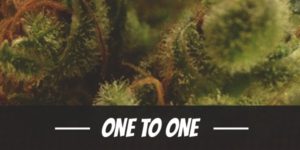 One To One