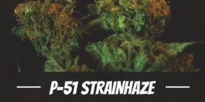 P-51 Strain