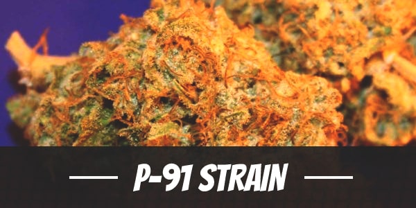 P-91 Strain