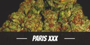 Paris XXX