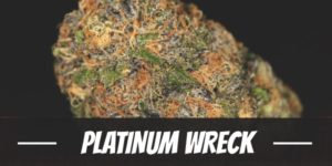 Platinum Wreck