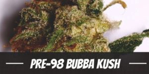 Pre-98 Bubba Kush