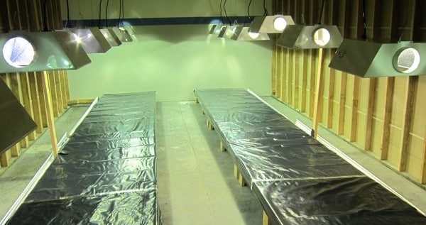 Prep the grow room area