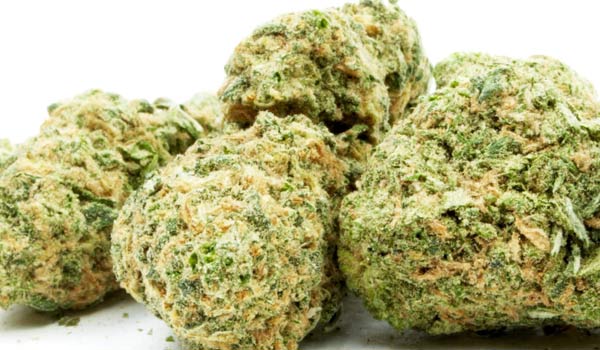 Project Blue Book Strain Effects