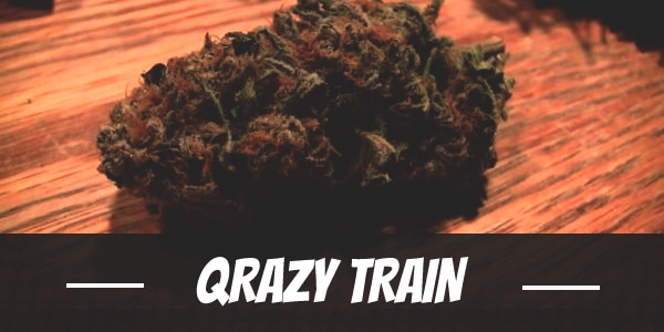 Qrazy Train