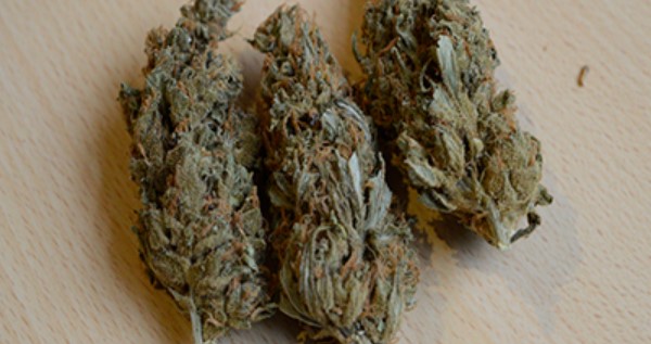Quarter of weed