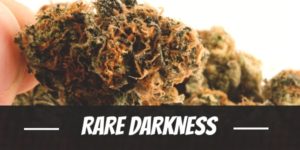 Rare Darkness