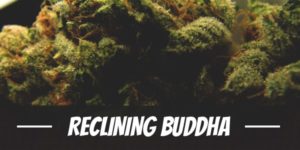 Reclining Buddha