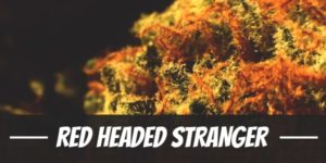 Red Headed Stranger