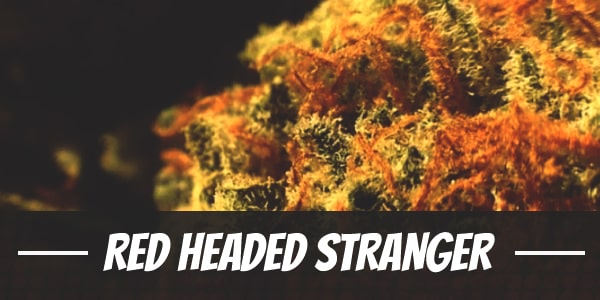 Red Headed Stranger