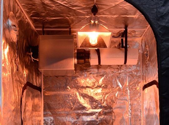 Reflective walls in a grow room