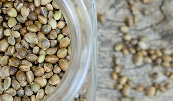 Use the Right Storage Container to store weed seeds