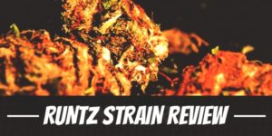 Runtz weed Strain Review