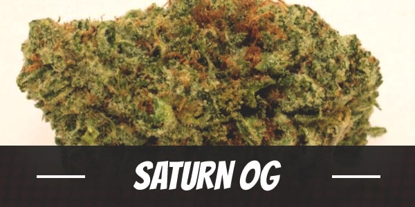 Saturn OG