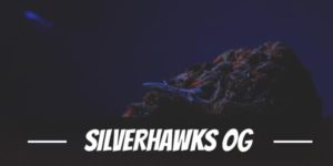 Silverhawks OG