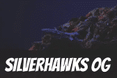 Silverhawks OG Strain