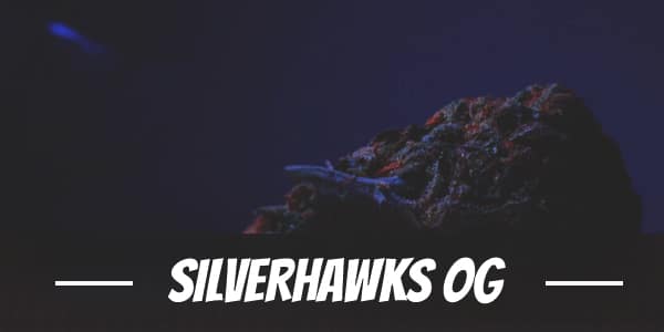 Silverhawks OG