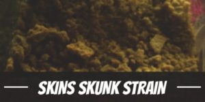 Skins Skunk Strain