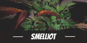 Smelliot