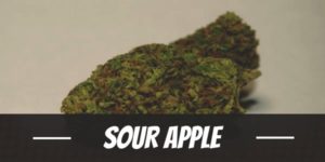 Sour Apple