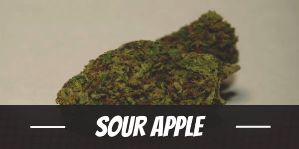 Sour Apple