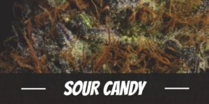 Sour Candy