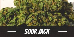 Sour Jack
