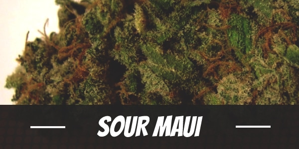 Sour Maui