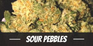 Sour Pebbles