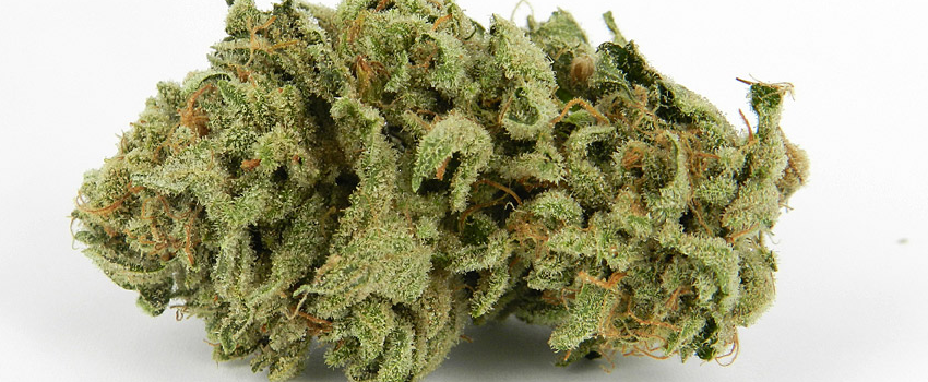 Sour Kush Effects