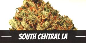 South Central LA