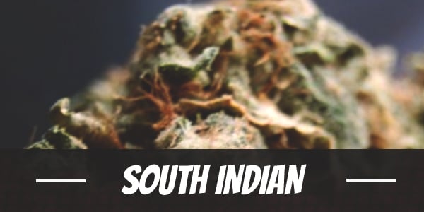 South Indian