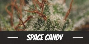 Space Candy