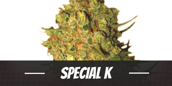 Special K