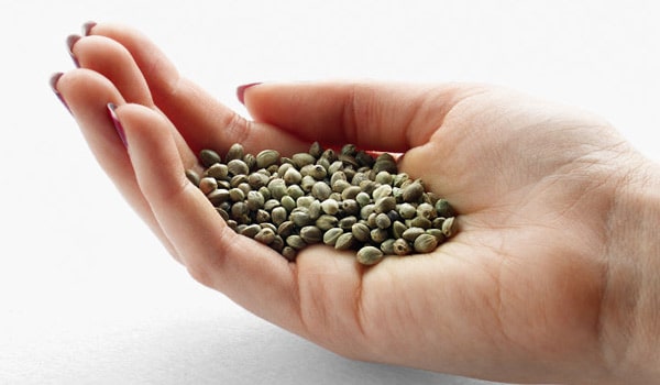 Storing Cannabis Seeds